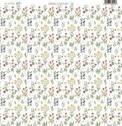 Paper Heaven skräppipaperi Born To Be Wild 02