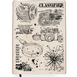 Ciao Bella leimasinsetti Classified