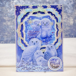 Hunkydory Under the Moonlight Luxury Topper -pakkaus, Owl I Want for Christmas