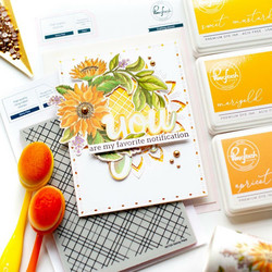 Pinkfresh Studio Hot Foil -kuviolevy Sentiment Suite: You
