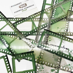 49 And Market Vintage Bits Essential Filmstrips -leikekuvat Fern