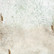 Alchemy of Art paperipakkaus Romantic Shabby Chic, 12