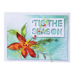 Sizzix Thinlits stanssi Holiday Brushstroke #3