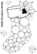 Woodware leimasin Big Bubble Stocking