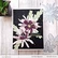 Altenew Craft-A-Flower: Epiphyllum -stanssisetti