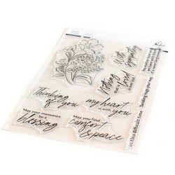 Pinkfresh Studio leimasinsetti With Sympathy