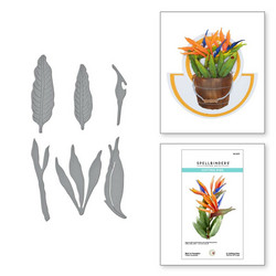 Spellbinders stanssi Bird of Paradise