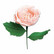 Sizzix Thinlits stanssi Garden Rose