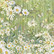 Crafter's Companion Delightful Daisies Vellum -paperipakkaus