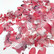 49 and Market Color Swatch: Blossom Acetate Leaves -leikekuvat