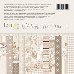 LemonCraft paperipakkaus Waiting for You, 6