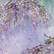 Crafter's Companion Wisteria Vellum -paperipakkaus