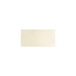 Ranger Embossing Powder -kohojauhe, sävy Clear