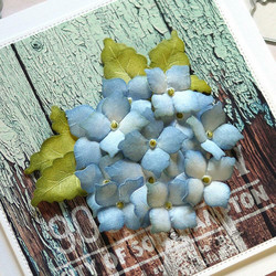 Elizabeth Craft Designs stanssi Florals 2