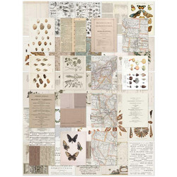 49 and Market Collage Sheets paperipakkaus Color Swatch, Toast, 6