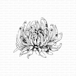 Gummiapan leimasin Dahlia