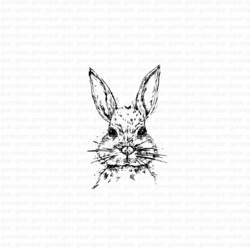 Gummiapan leimasin Sketched Rabbit