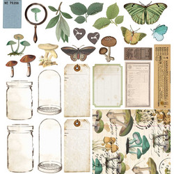 49 and Market paperipakkaus Vintage Artistry Nature Study, 12