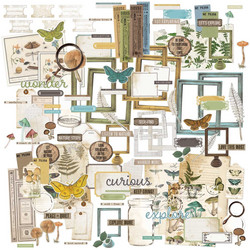 49 and Market leikekuvat Vintage Artistry Nature Study Ephemera Bits