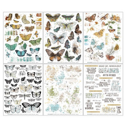 49 and Market Rub-Ons siirtokuvat Vintage Artistry Nature Study, Wings
