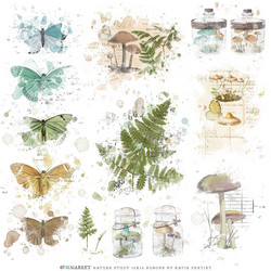 49 and Market Rub-Ons siirtokuvat Vintage Artistry Nature Study, 12