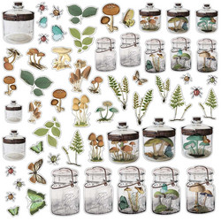 49 and Market Vintage Artistry Nature Study Specimen Acetate Shapes -leikekuvat