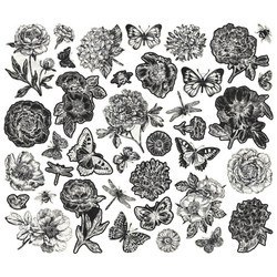 Simple Stories Simple Vintage Essentials, Botanical Bits, leikekuvat