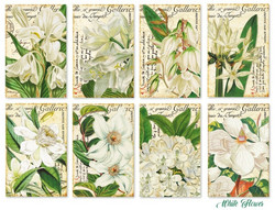 Decorer korttikuvat White Flower