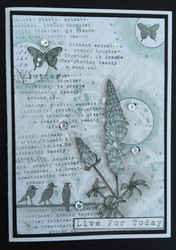 Aall & Create leimasin Butterfly Effect