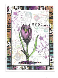 Aall & Create washi-teippi Arithmetical