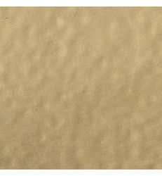 Wow! Metallic Colours -kohojauhe, sävy Polished Gold, Super Fine (O)