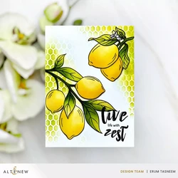 Altenew Zesty Life -stanssi