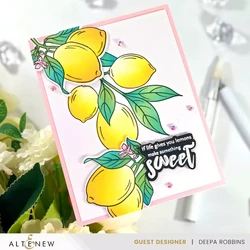 Altenew Zesty Life -sapluuna