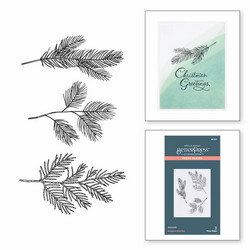 Spellbinders Press Plate Evergreen Branches -levy