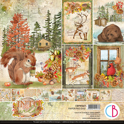 Ciao Bella paperipakkaus Into the Wild, 12