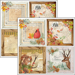 Ciao Bella Patterns Pad paperipakkaus Into the Wild, 12