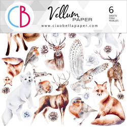 Ciao Bella paperipakkaus Winter Journey Fuzzy Cut Vellum, 6