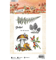 Studio Light Autumn Bouquet leimasin Autumn Days