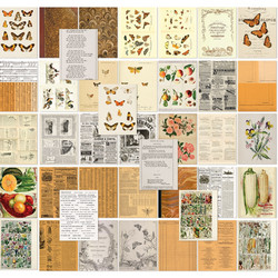 49 and Market Collage Sheets paperipakkaus Color Swatch, Peach, 6