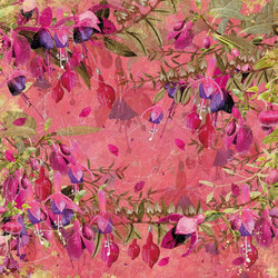 Crafter's Companion Fabulous Fuchsia -paperipakkaus, 12