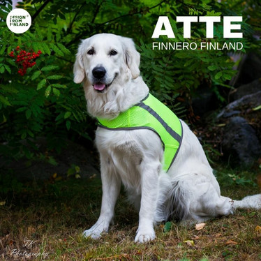 Koiran huomioliivi Atte keltainen