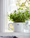 Stoneware Mug, White, Lexington
