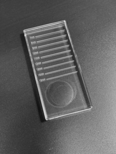 Glue and Lash Plate - glass - 2in1