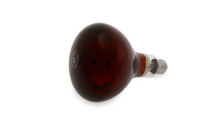 Infrared Bulb 1003 Lamp - Sparepart