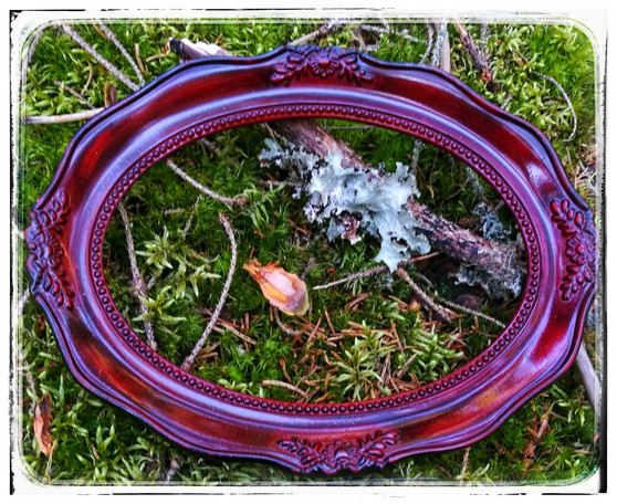 Peikkometsän valokuvaajat