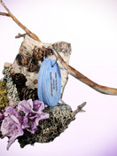 Setti; Tempputehtävät & Onko totta, että - tehtävät avainrenkaassa