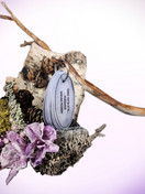 Setti; Tempputehtävät & Onko totta, että - tehtävät avainrenkaassa