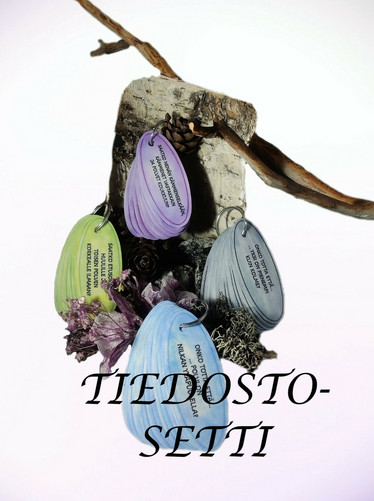 TIEDOSTOSETTI; kaikki Tempputehtävät + Onko totta, että - tehtävät