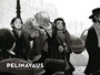 Villimpi Pohjola – Pelinavaus
