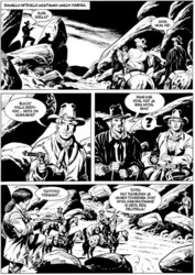 Maxi-Tex 43: Bill-veljekset